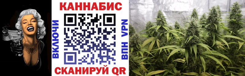 Купить  Могоча  Канабис SATIVA & INDICA 